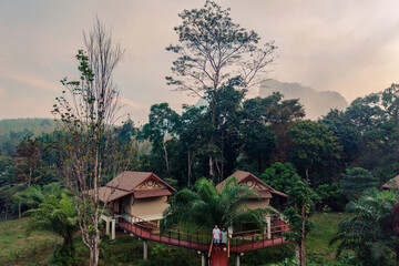 Fototapeta premium Nestled in Khao Sok, Thailand, these charming lodges offer a perfect escape into natures paradise. Surrounded by tall trees and greenery, A couple on vacation 