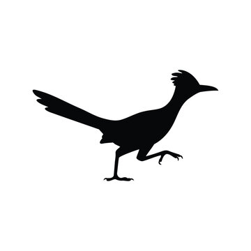 Bird of roadrunner silhouette vector flat illustration design.