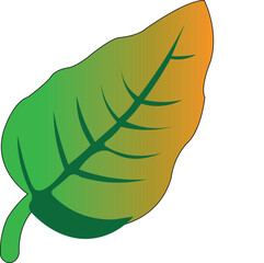 vector illustration of a green leaf