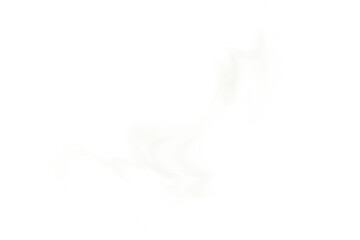 流動的な立ち上がる煙　白