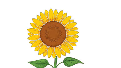 Vibrant Sunflower Illustration with Green Leaves on a White Background.