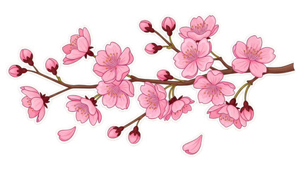Beautiful pink cherry blossom branch with delicate flowers and buds 1.