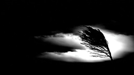 bent. A lone gnarled tree silhouetted against a stormy sky with lightning. travel magazines, destination branding, designed for outdoor magazines and nature guides and travel destination branding.