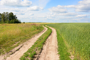 Winding Dirt Road with tire tracks Through Green and Golden wheat Fields Under a Blue Sky