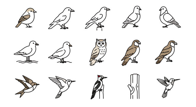 Collection of Bird Illustrations: Diverse Species Including Owl, Hummingbird, Woodpecker, Sparrow, Pigeon, and a Tree Stump