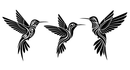 Obraz premium Three stylized black and white hummingbirds in flight, featuring intricate tribal patterns on their bodies and wings, isolated on a white background.