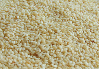 Background with sesame seeds. Pile of sesame seeds