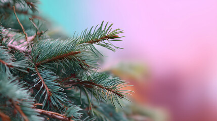 A tree branch covered in snow with copyspace