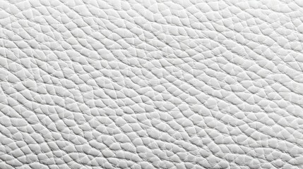 The image is a close up of a white leather surface with a grainy texture. The surface appears to be a piece of leather, and it has a natural, organic look to it. Concept of luxury and sophistication