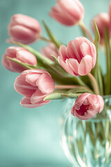 Tulip flowers in crystal vase