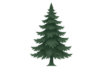 Fototapeta premium Spruce tree illustrating evergreen nature, winter, and christmas concepts, featuring textured branches and a natural look