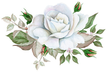 Watercolor bouquet of white roses