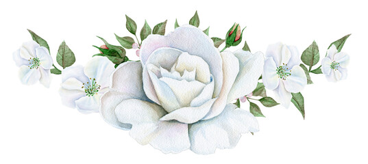 Watercolor bouquet of white roses