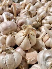 garlic on market