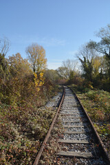 Obraz premium Rusty, abandoned railway tracks disappear into a gentle curve surrounded by overgrown autumn foliage and gravel in a bright, sunny outdoor setting under a clear blue sky
