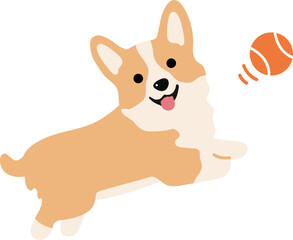 Corgi Playing with a Ball