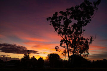 rural sunset