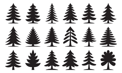 Silhouettes of evergreen trees in a forest setting