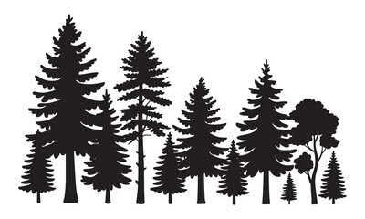 Silhouettes of evergreen trees in a forest setting