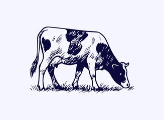 Simple hand drawn cow sketch, engraved farm animal drawing.
