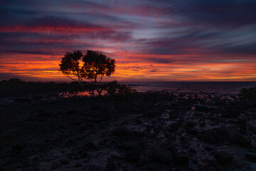Beach sunset