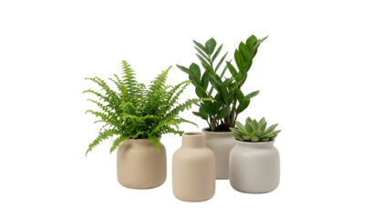 ニュートラルな器に映える瑞々しいグリーンが空間を整えるボタニカル演出｜背景なし・透過PNG・コピースペース