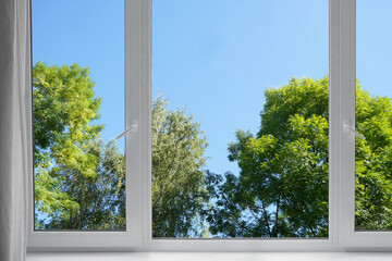 A window overlooking silvery green trees, view from a  panoramic window.