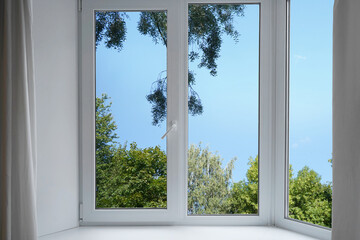 A window overlooking silvery green trees, view from a  panoramic window.