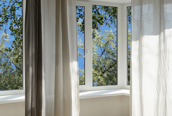 A window overlooking silvery green trees, view from a  panoramic window.
