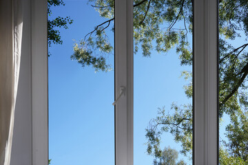A window overlooking silvery green trees, view from a  panoramic window.