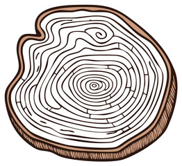 Fototapeta premium Illustration of Sawn Wood Texture Tree Rings Annual Rings Pattern