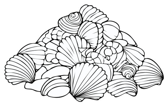 Seashells Vector Illustration Pile, Ocean Shells Heap, Nautical Graphic Design
