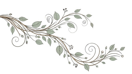 A delicate and intricate illustration of a swirling vine with small green leaves and buds.