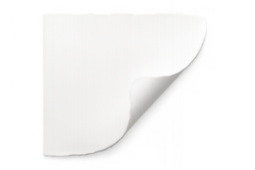 White blank paper piece with torn ragged edges and curled corner, creating space for content on transparent background