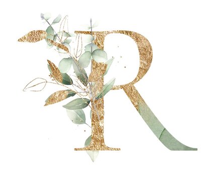 Letter R alphabet initial letter watercolor greenery foliage with line art delicate animation romantic illustrated alpha mask animation golden