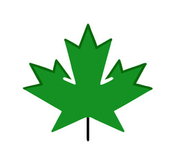 Maple Leaf Vector illustration design Logo template