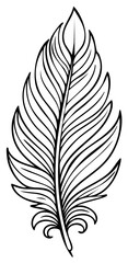 Obraz premium Black and white hand drawn feather illustration, vector graphic element