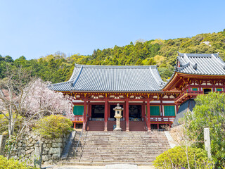 【奈良県】大和郡山市 矢田寺(金剛山寺) (2025/04/09撮影)