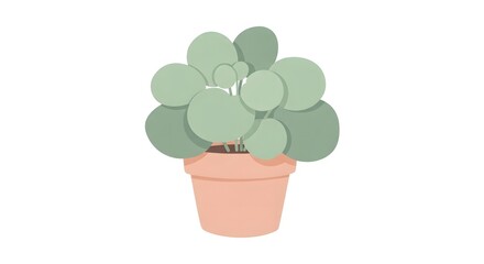 Obraz premium Vector illustration of a succulent plant in a terracotta pot on a white background