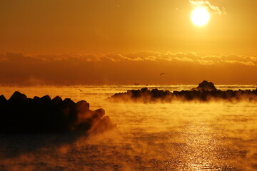 久礼湾　冬の幻想的な日の出　（高知県　中土佐町）