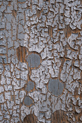 Detail of peeling paint on an old wooden wall