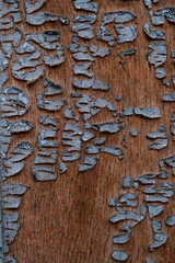 Detail of peeling blue paint on an old wooden wall