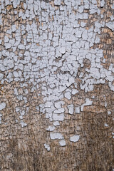Detail of peeling paint on an old wooden door