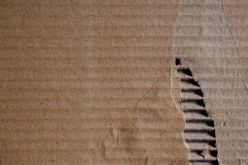 Piece of torn corrugated cardboard