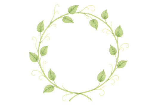 Watercolor vine wreath creating a circle frame with green leaves and curly tendrils on transparent background
