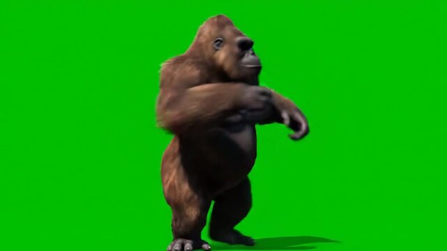 Funny Brown Gorilla Dancing Animation with Super Realistic Fur and Hair