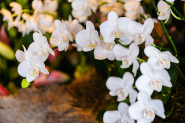 ドライブ途中の道の駅で見つけた立春の頃の色鮮やかな光景