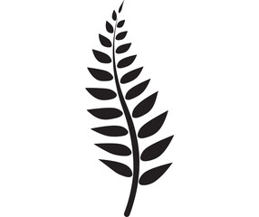 Elegant fern leaf design a striking botanical element on transparent background silhouette