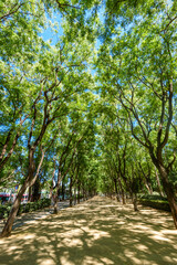 Parque de María Luisa in Sevilla, Spain