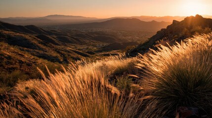 Sunset view over hills and valley with grass and distant mountains in the background in an outdoor scene